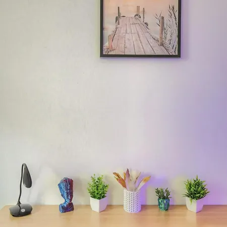 Experience 3d Flat *