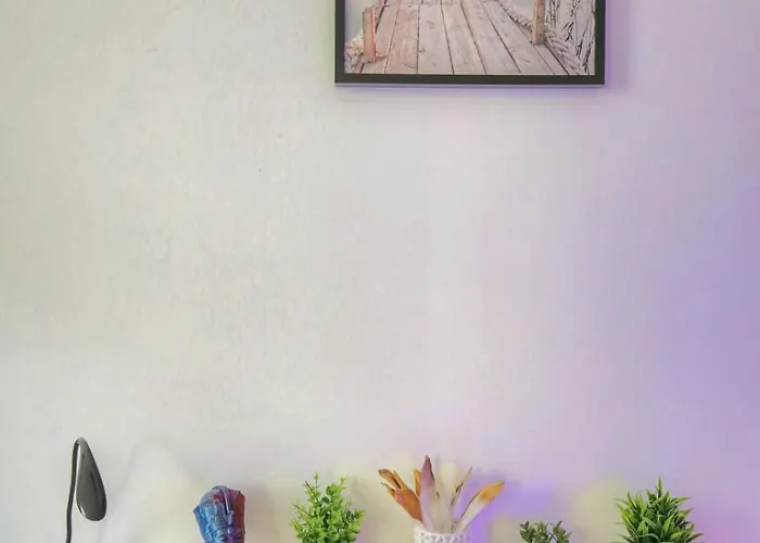 Experience 3d Flat *